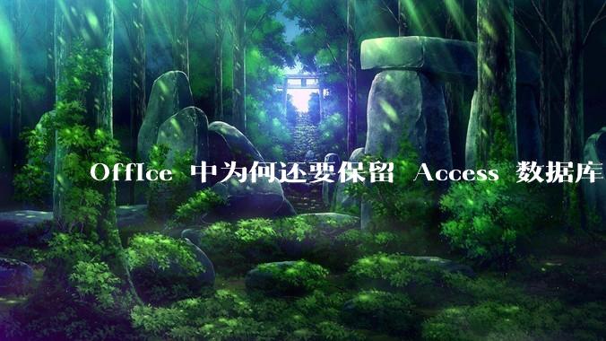 Office 中为何还要保留 Access 数据库?