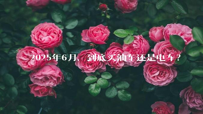 2025年6月，到底买油车还是电车？