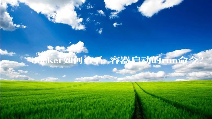docker如何查看 容器启动的run命令？